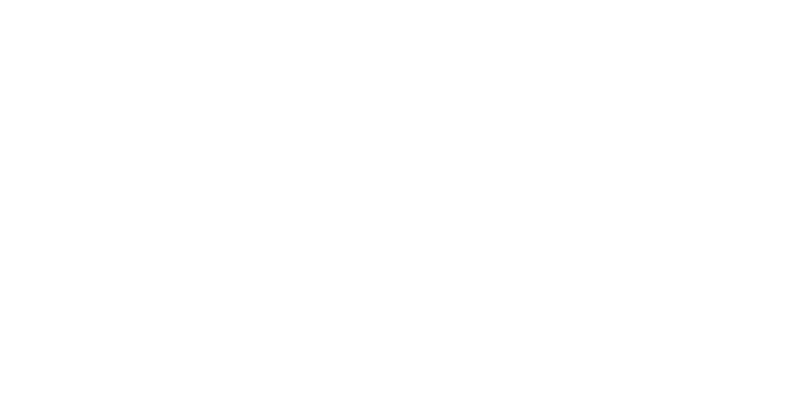 The Scindia School